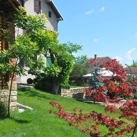Guesthouse Djuric Неготін Екстер'єр фото