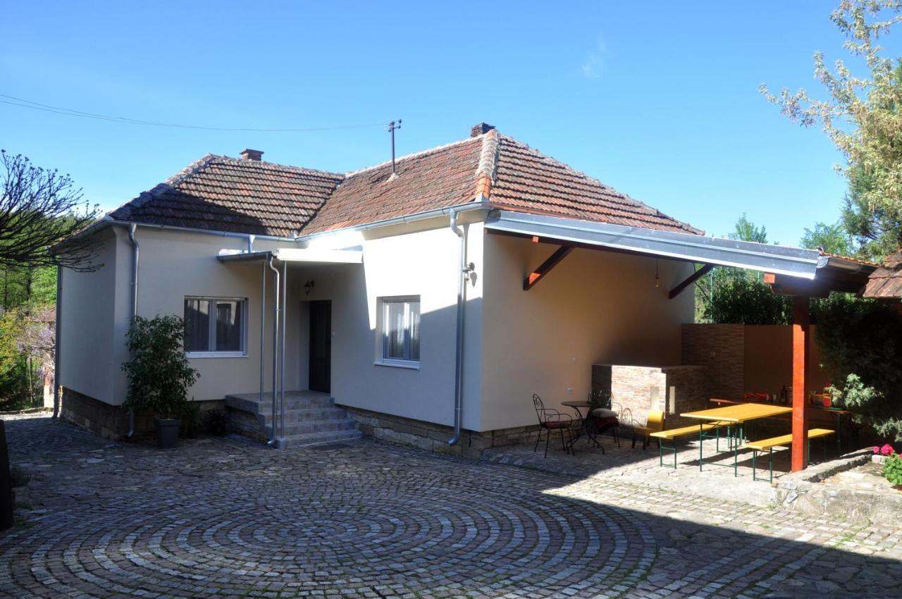 Guesthouse Djuric Неготін Екстер'єр фото