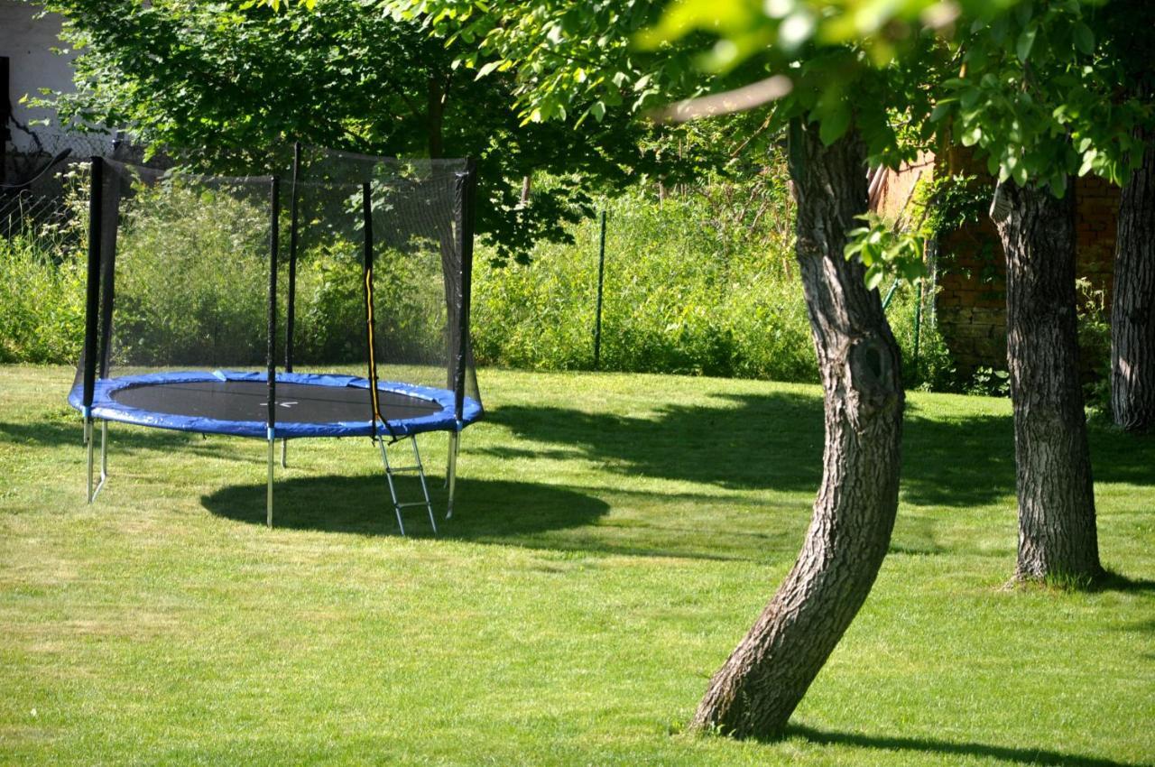 Guesthouse Djuric Неготін Екстер'єр фото
