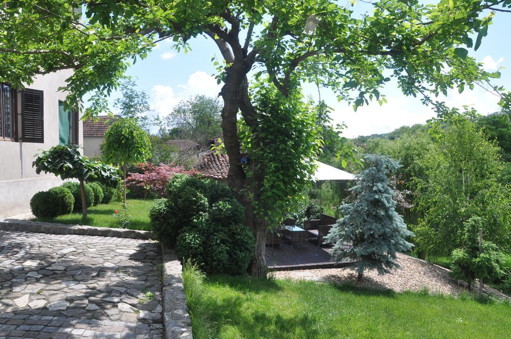 Guesthouse Djuric Неготін Екстер'єр фото