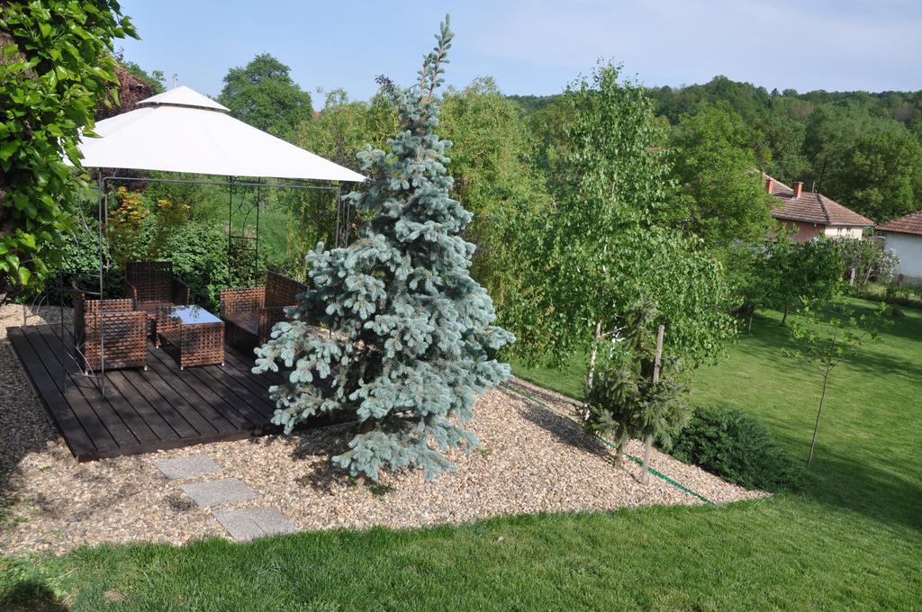 Guesthouse Djuric Неготін Екстер'єр фото